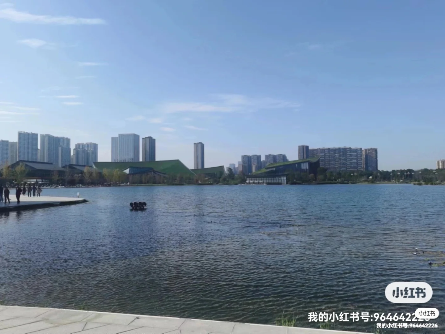 有前途的公司是啥样的？
