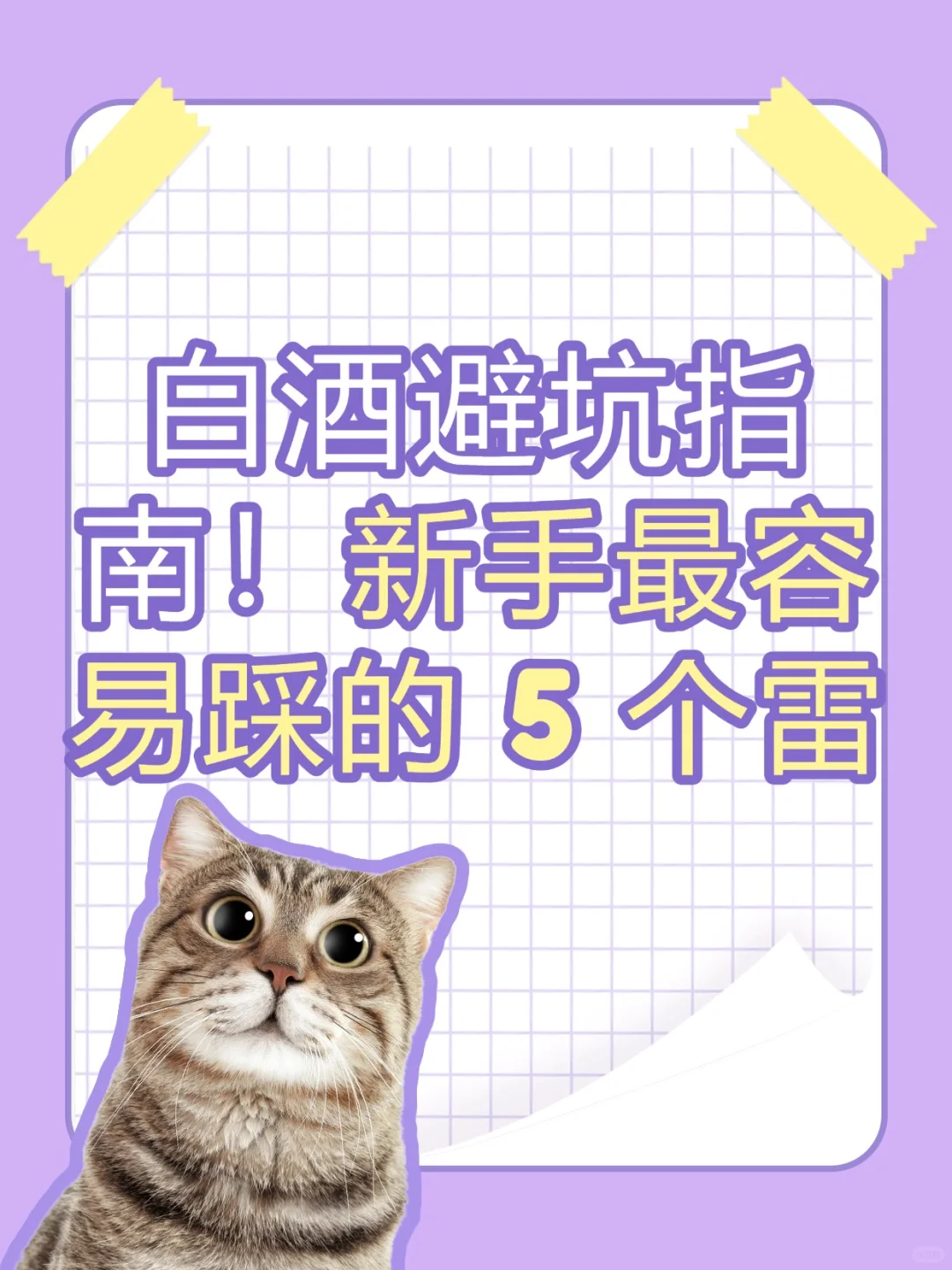 白酒避坑指南！新手必看的 5 个雷区