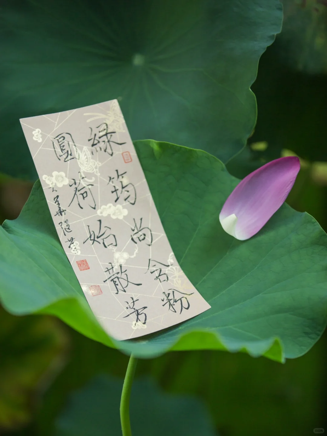 夏日荷宴，且以一杯真实年份酱香入席 。