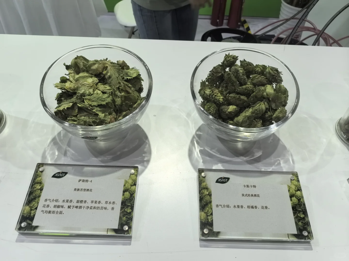 北京首钢精酿展 真不白来