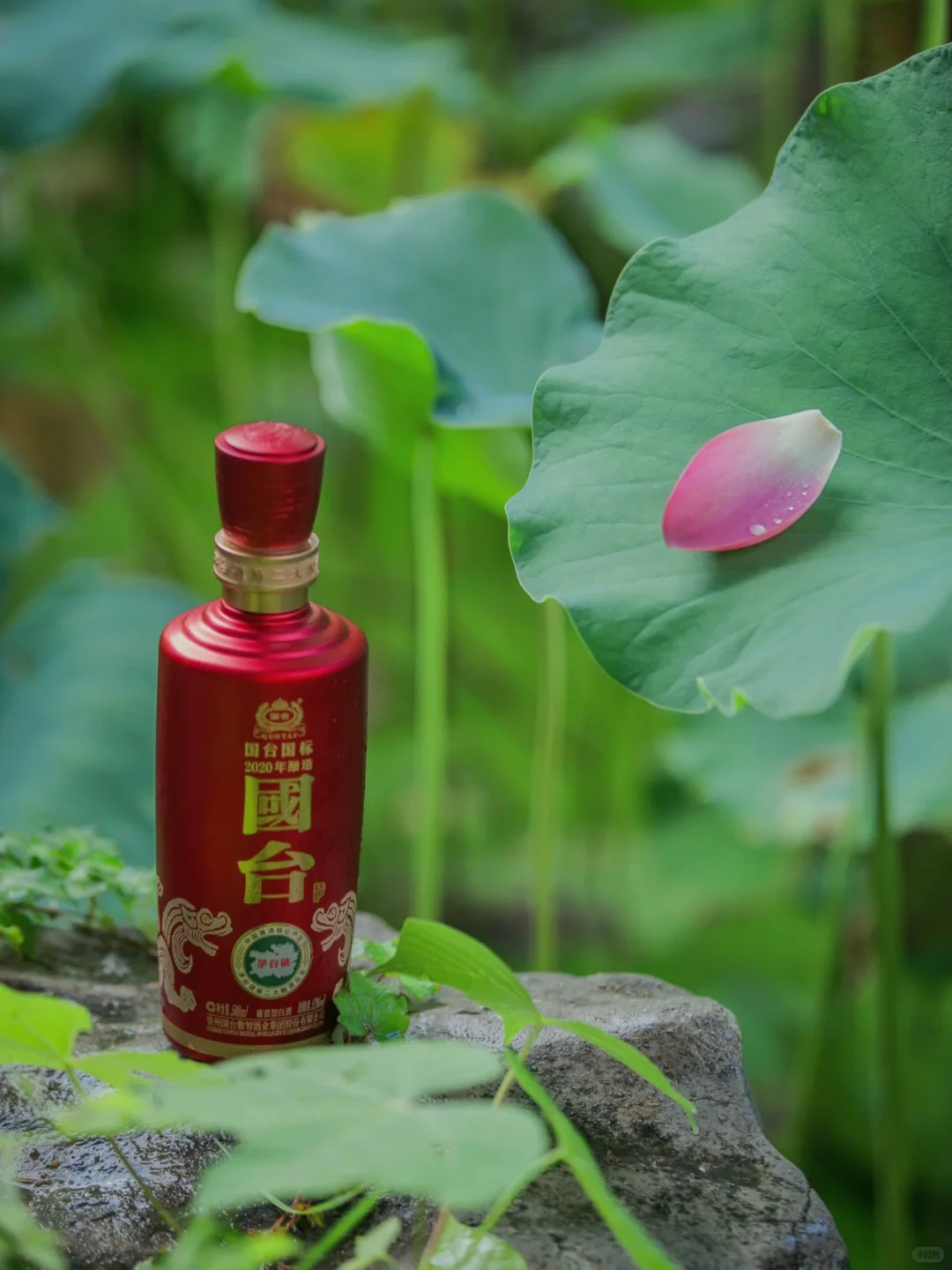 夏日荷宴，且以一杯真实年份酱香入席 。