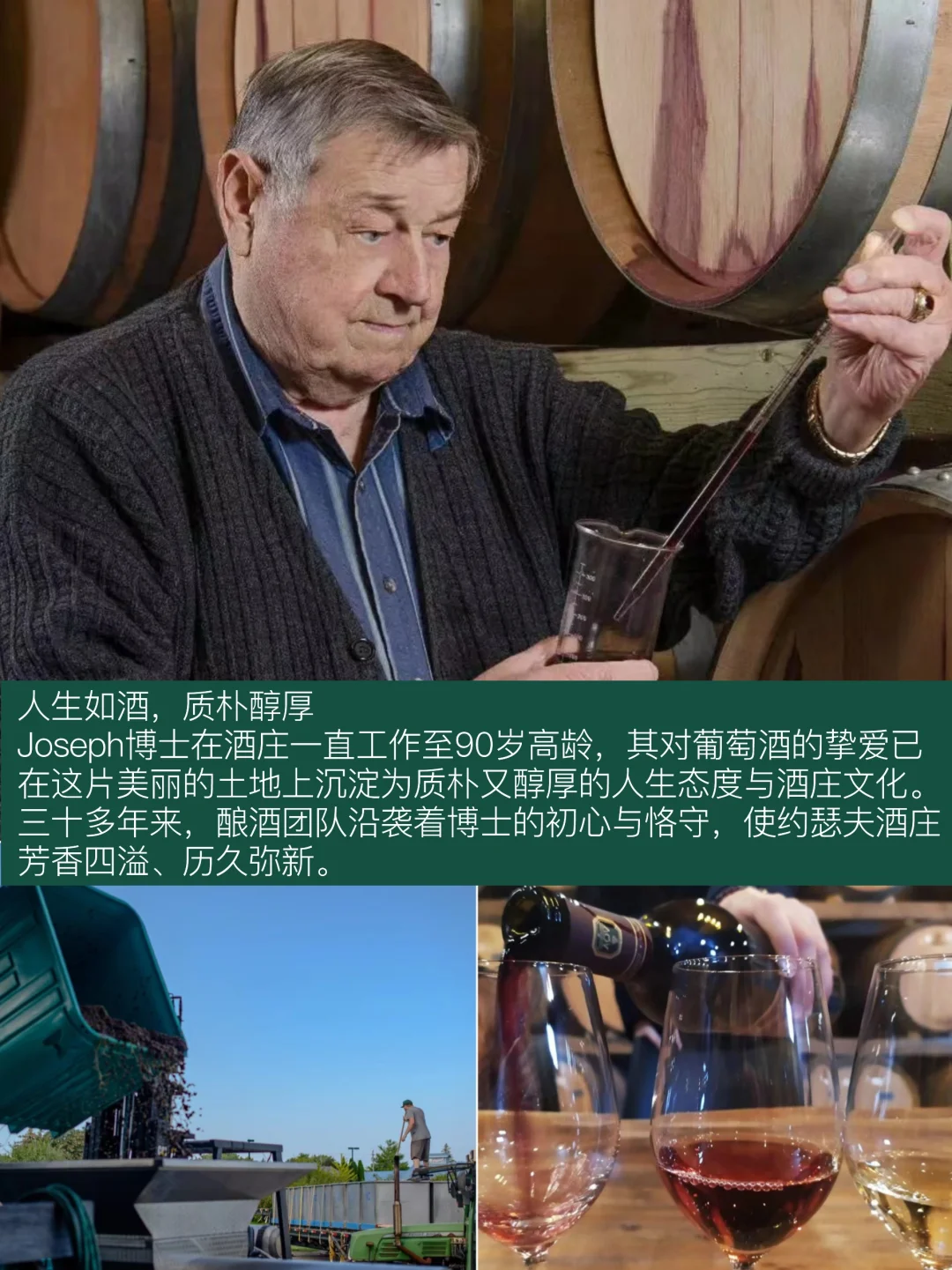 探秘传奇！??加拿大约瑟夫酒庄