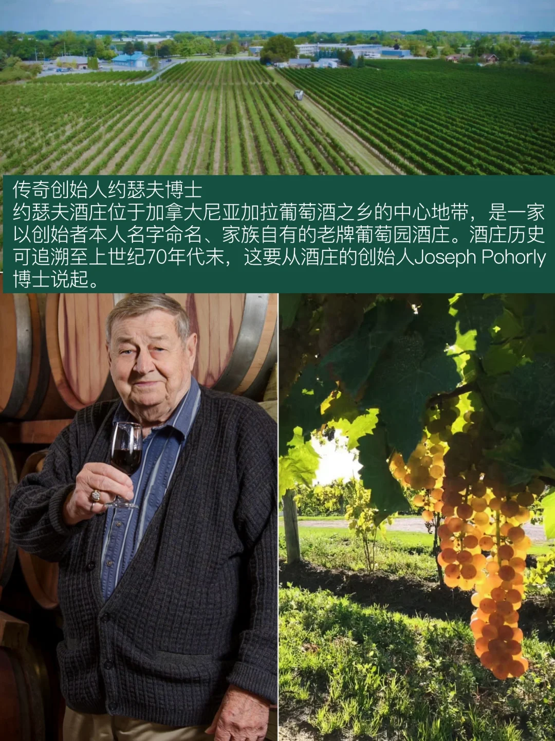探秘传奇！??加拿大约瑟夫酒庄