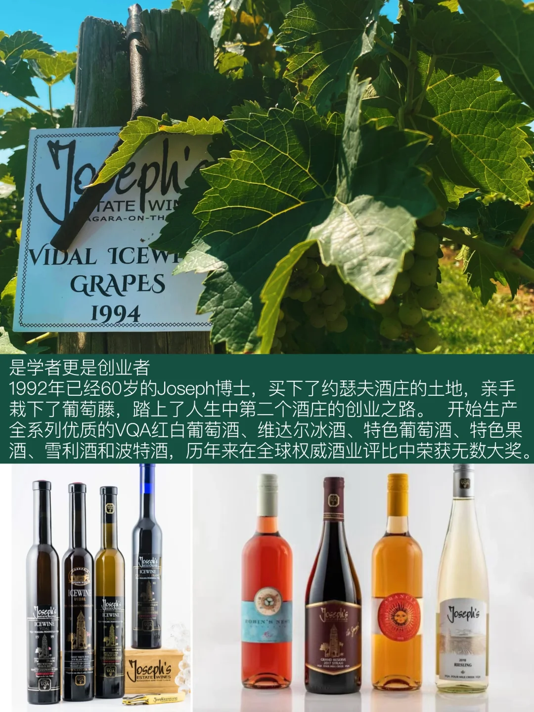探秘传奇！??加拿大约瑟夫酒庄