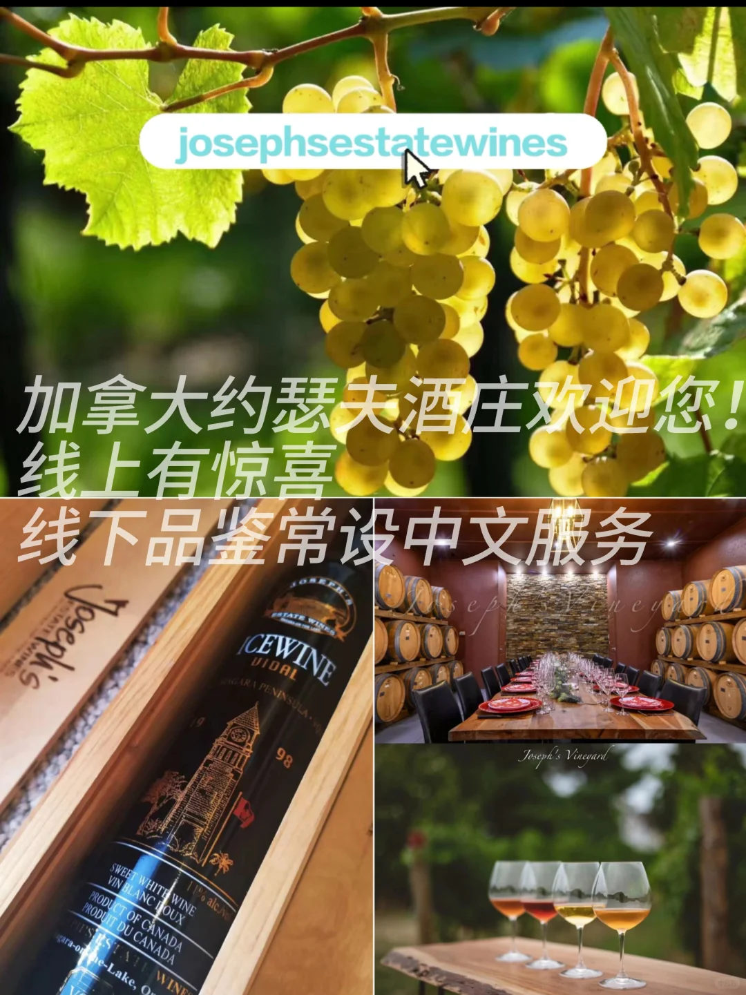探秘传奇！??加拿大约瑟夫酒庄
