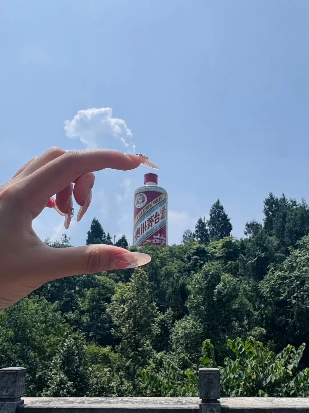 小小茅台，拿捏