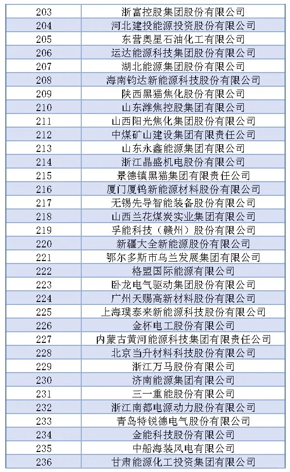 中国能源五百强