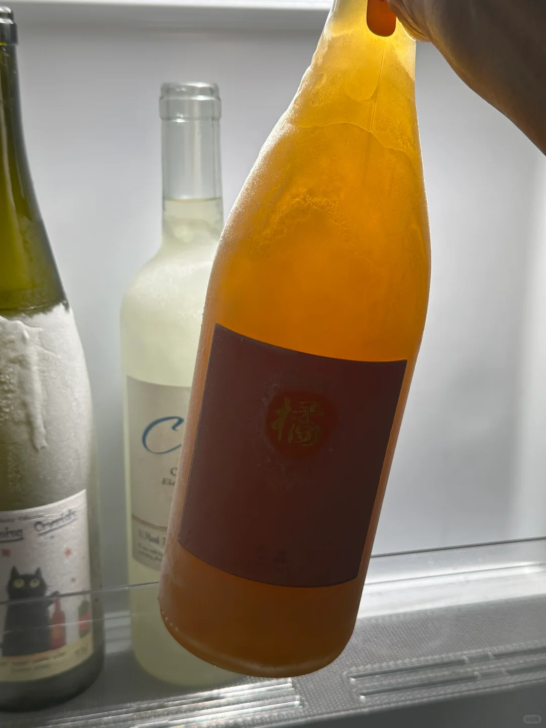 酒蒙子的3⃣️条命！！（暑假好喝版！！！！