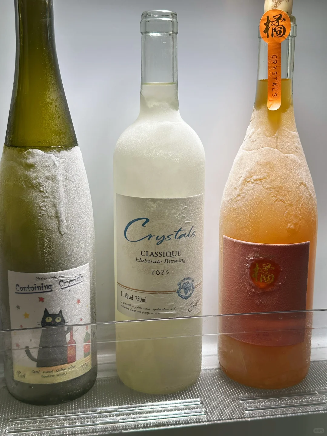 酒蒙子的3⃣️条命！！（暑假好喝版！！！！