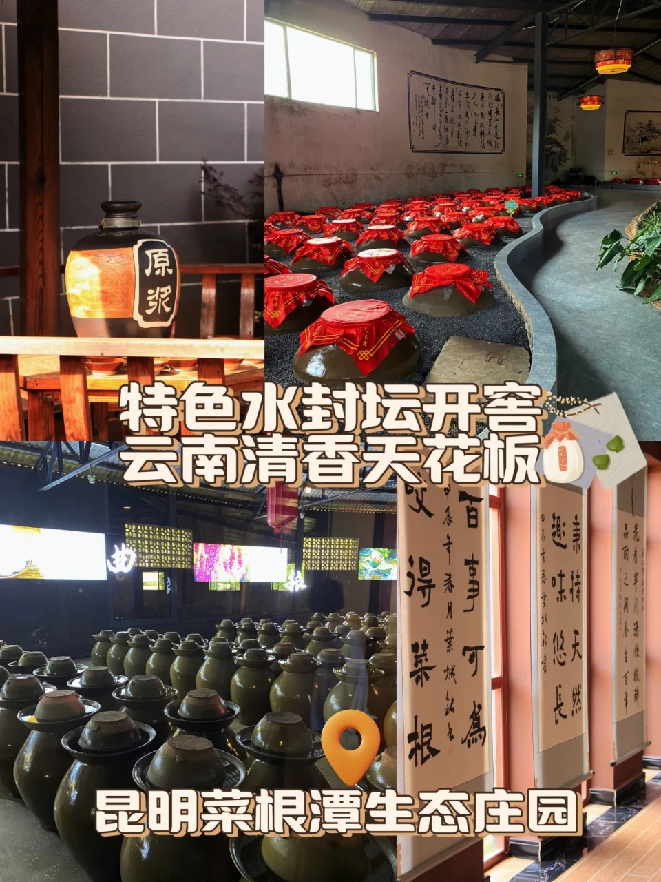 在昆明喝到了云南天花板级别的清香白酒!