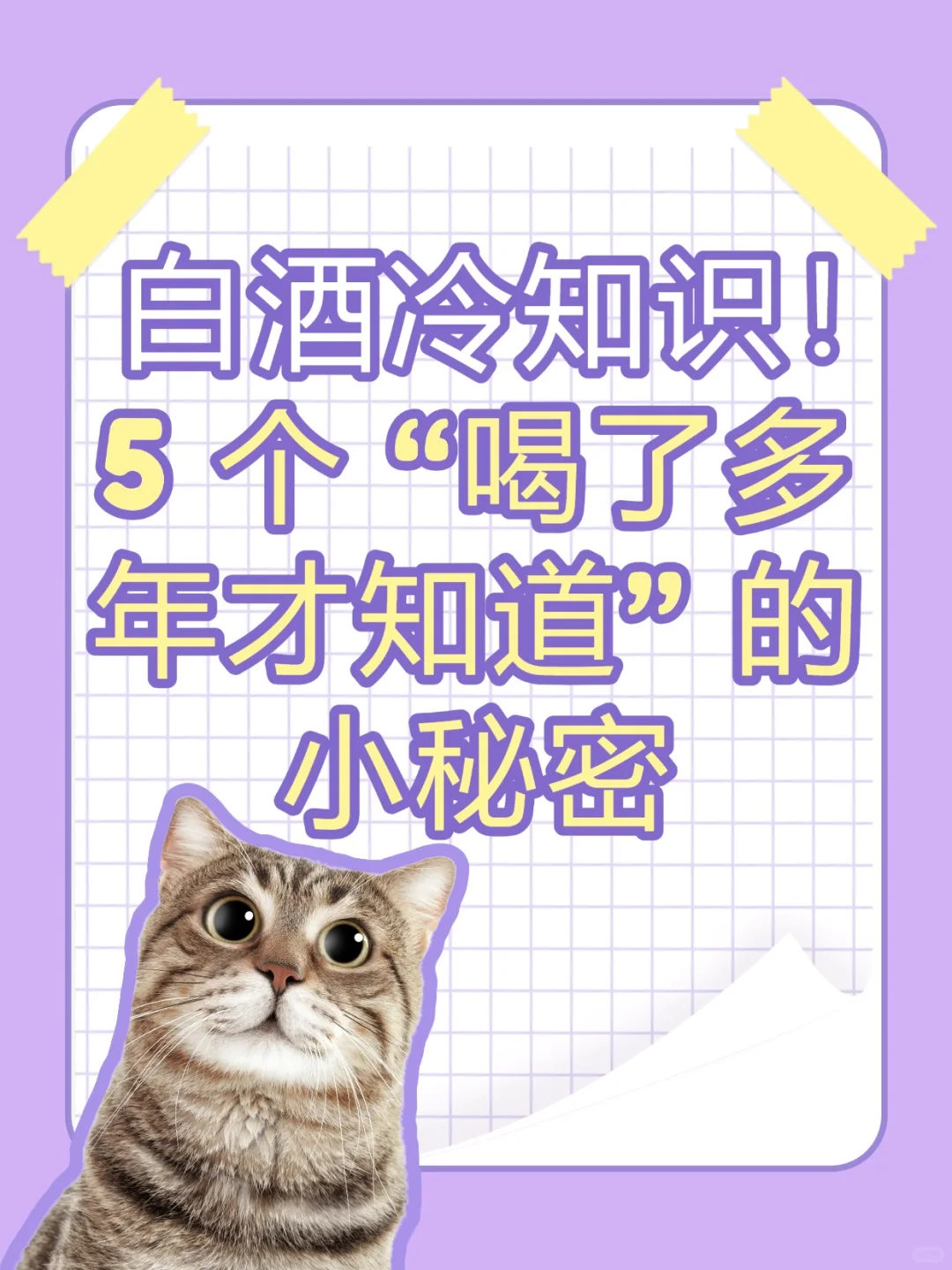 白酒冷知识！5 个喝了多年才知道的小秘密