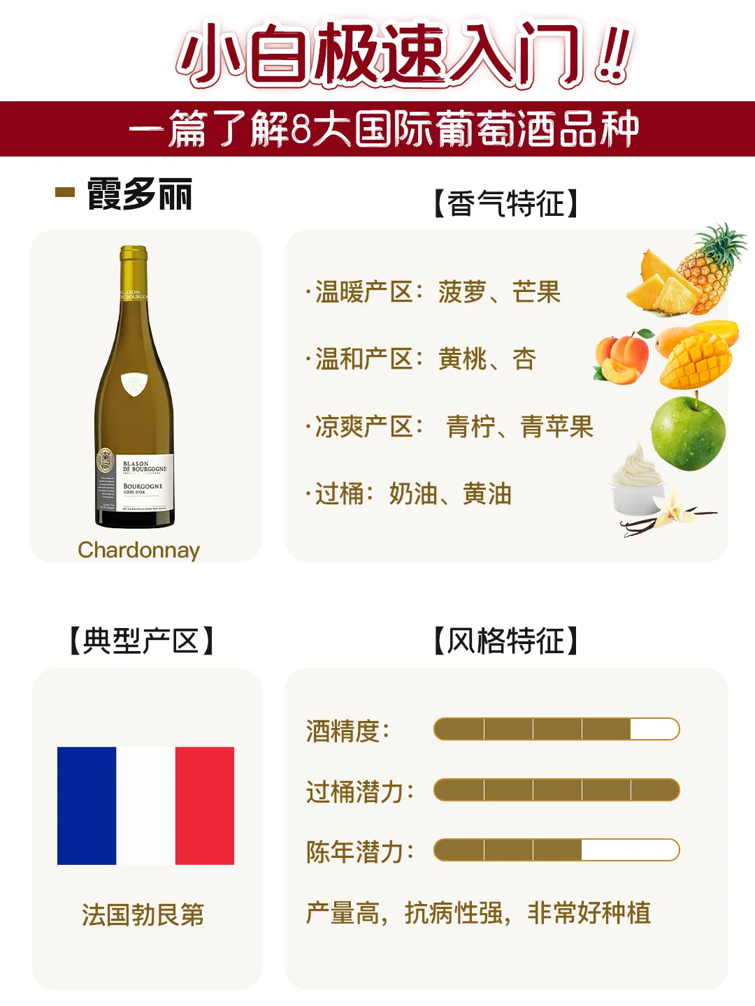 了解这8个葡萄品种，就搞懂90%的葡萄酒❗️