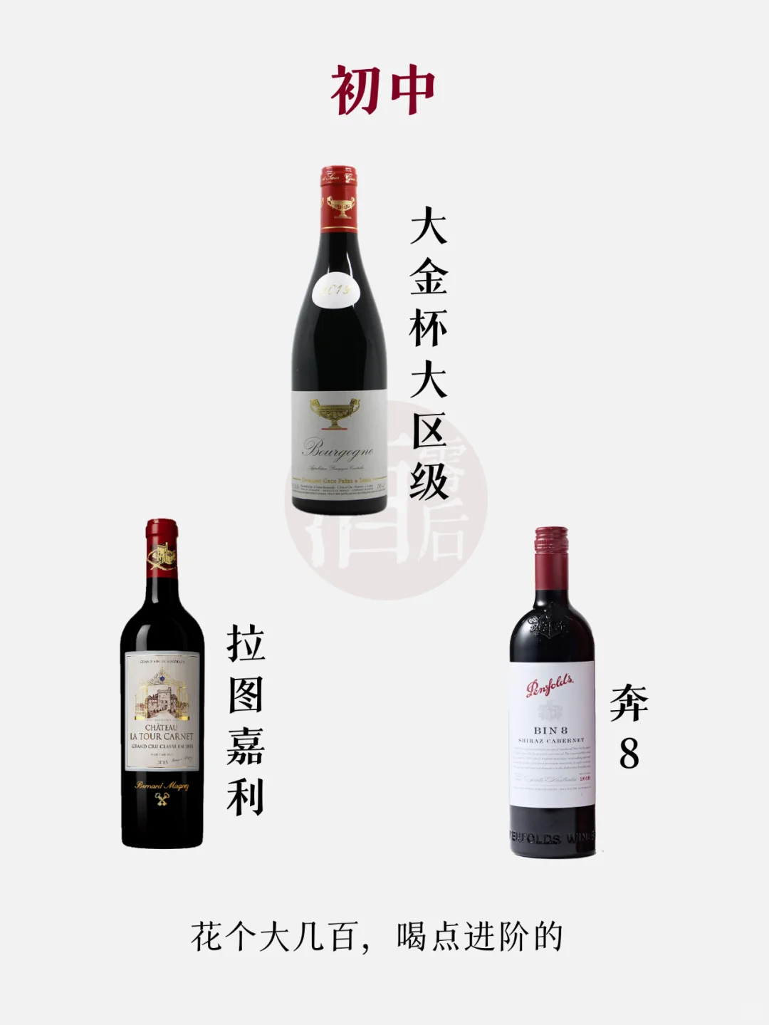 一张图看懂葡萄酒的学位，你在哪个学位？