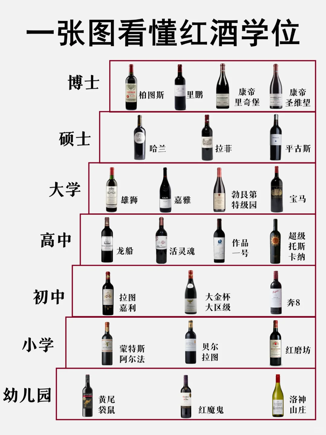 一张图看懂葡萄酒的学位，你在哪个学位？