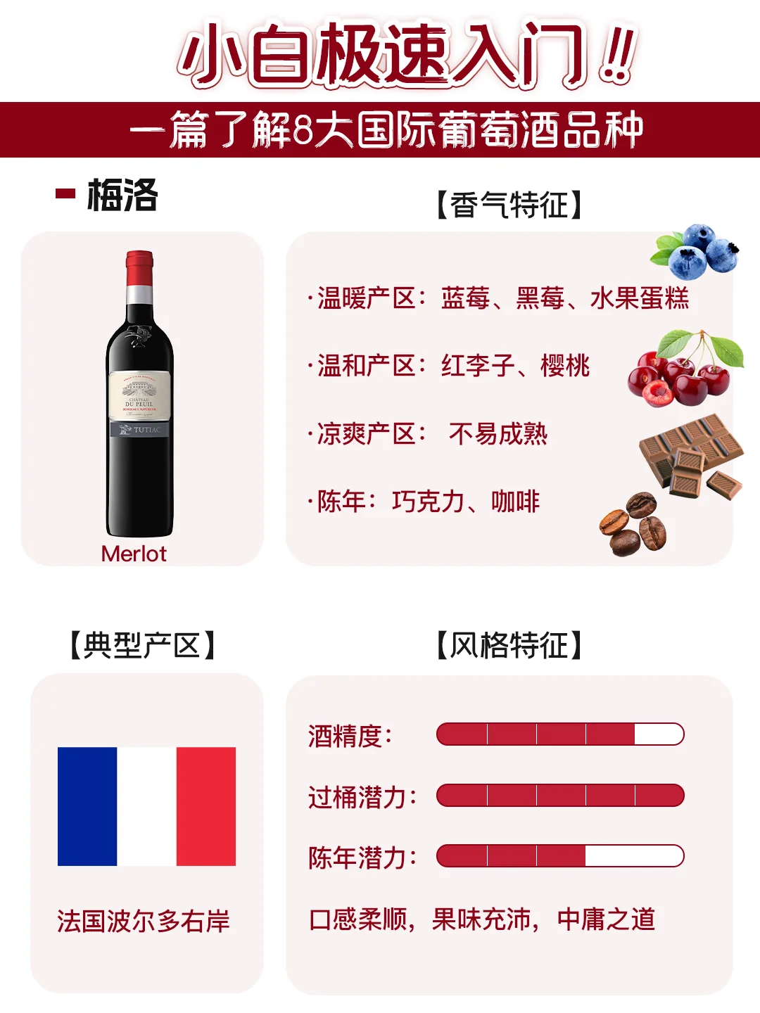 了解这8个葡萄品种，就搞懂90%的葡萄酒❗️