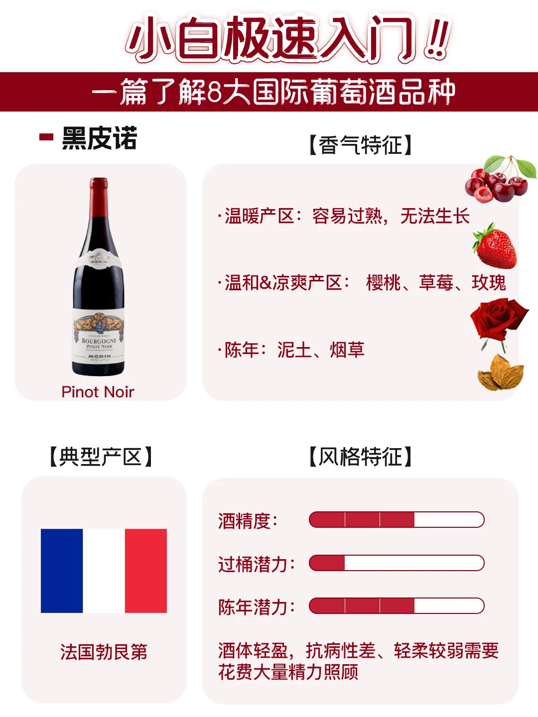 了解这8个葡萄品种，就搞懂90%的葡萄酒❗️