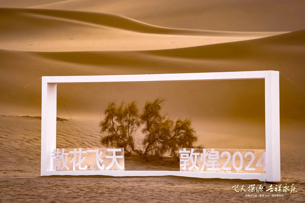 活动策划|案例分享|酱酒论坛发布会