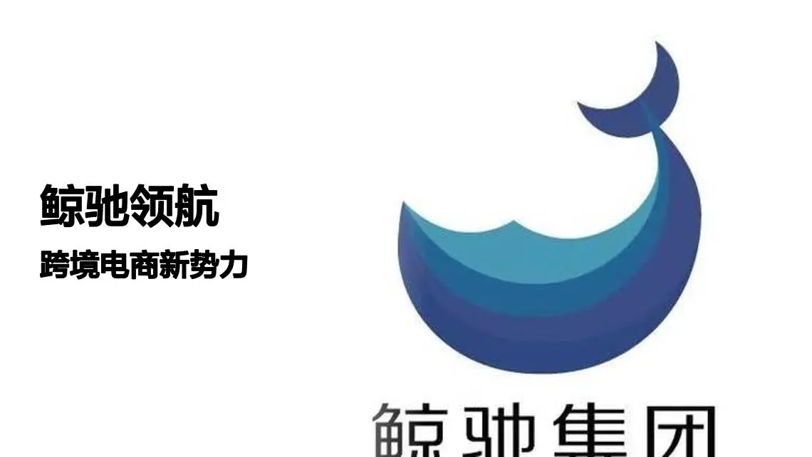 鲸驰集团跨境电商新势力