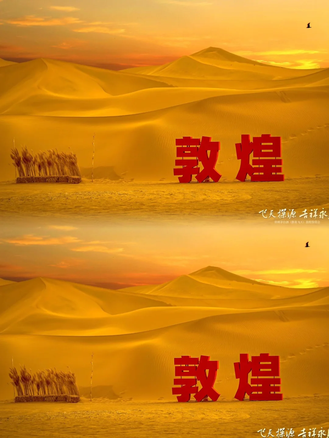 活动策划|案例分享|酱酒论坛发布会