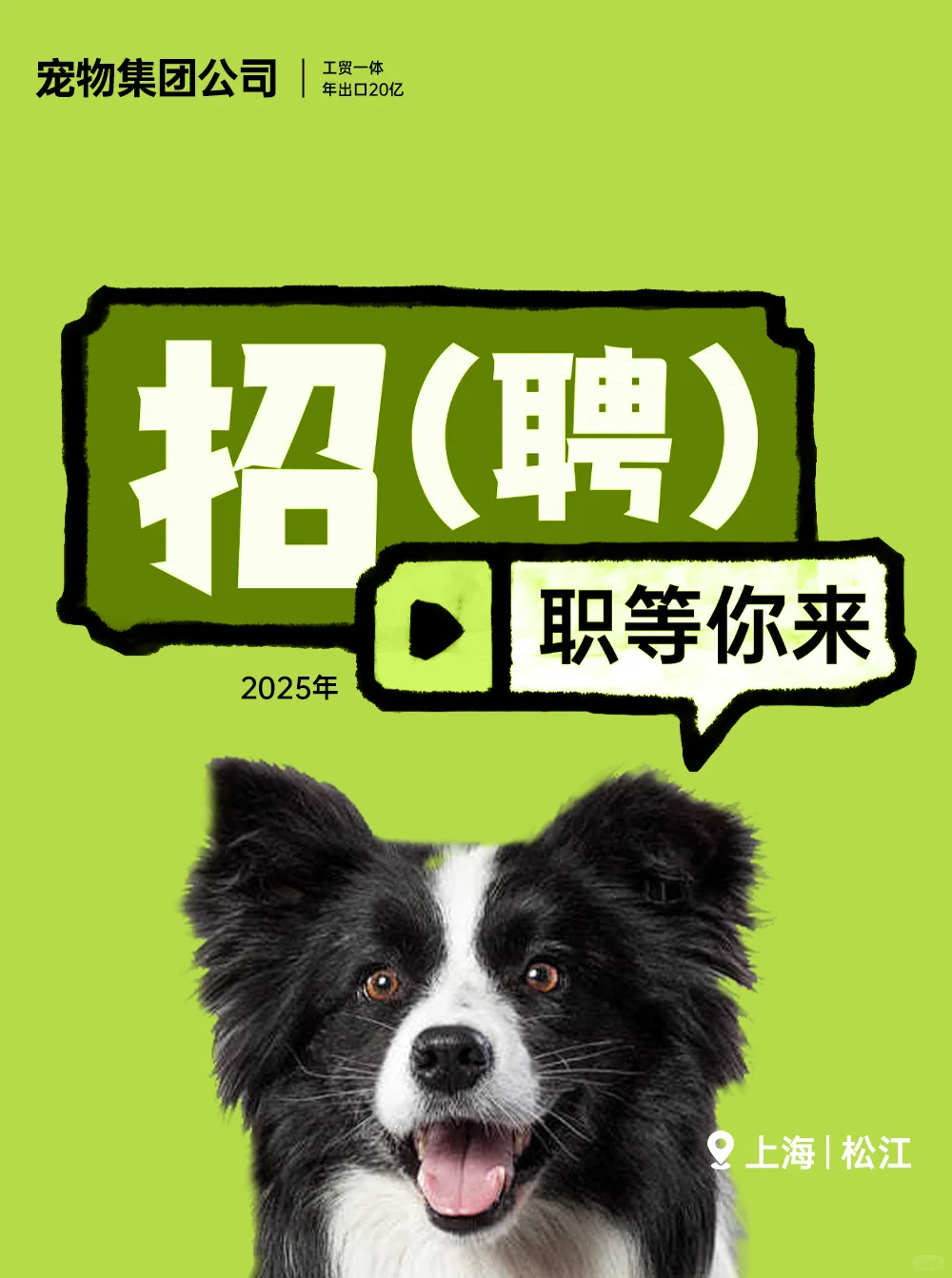 # 【宠物工贸一体公司 - 跨境电商】诚邀热爱