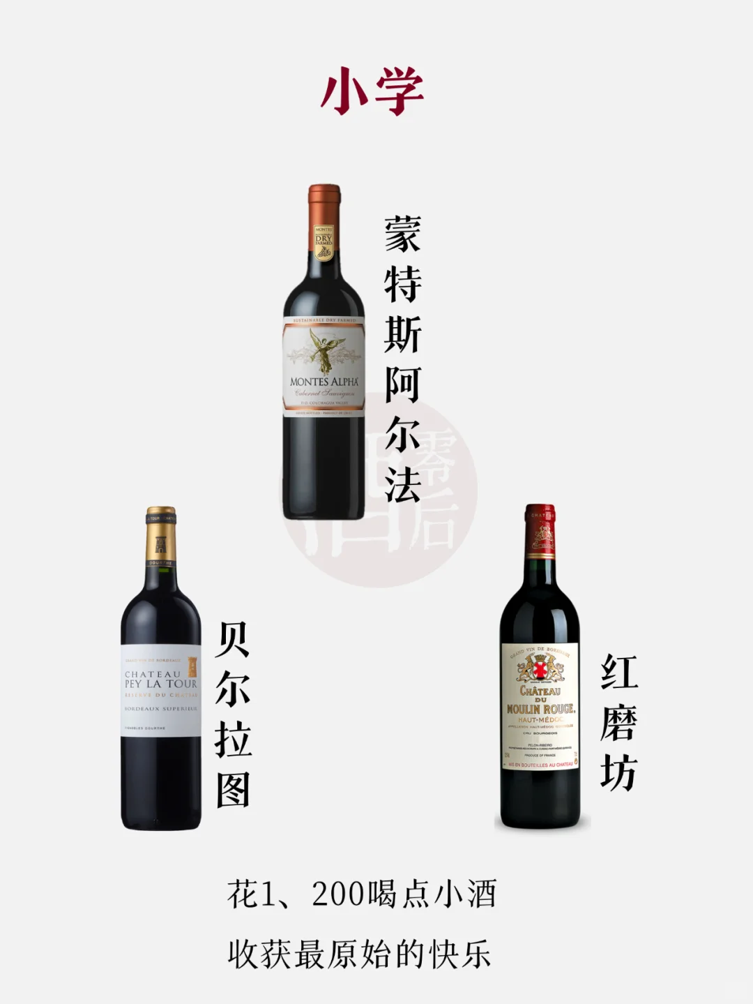 一张图看懂葡萄酒的学位，你在哪个学位？