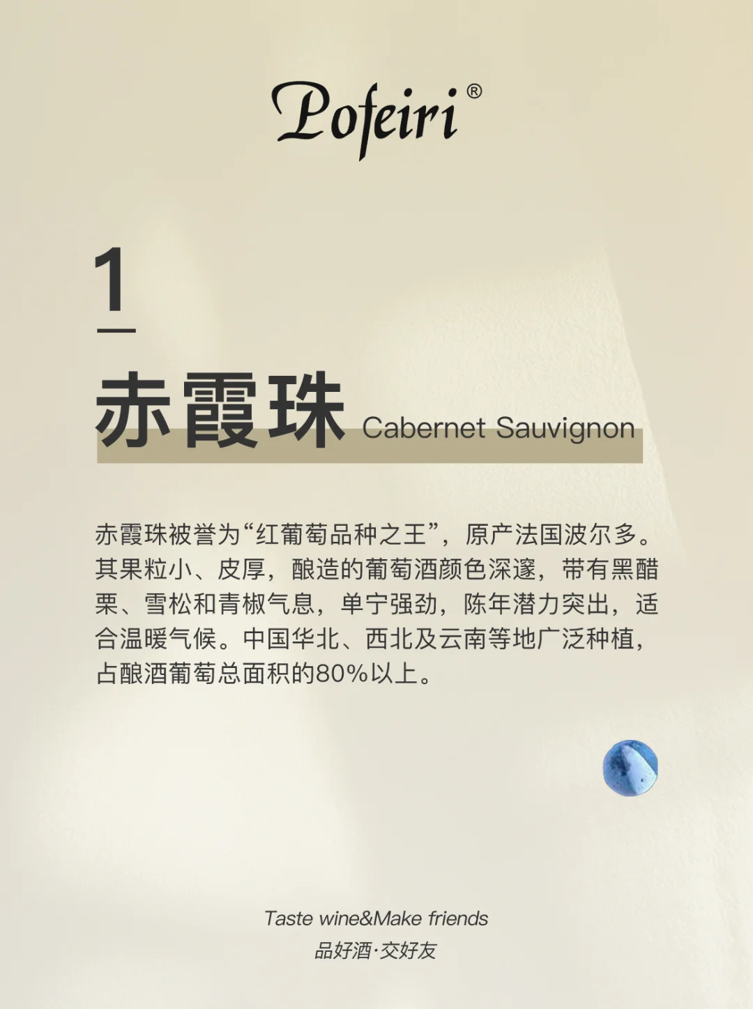 细数一下用来酿造葡萄酒的都有哪些葡萄品种