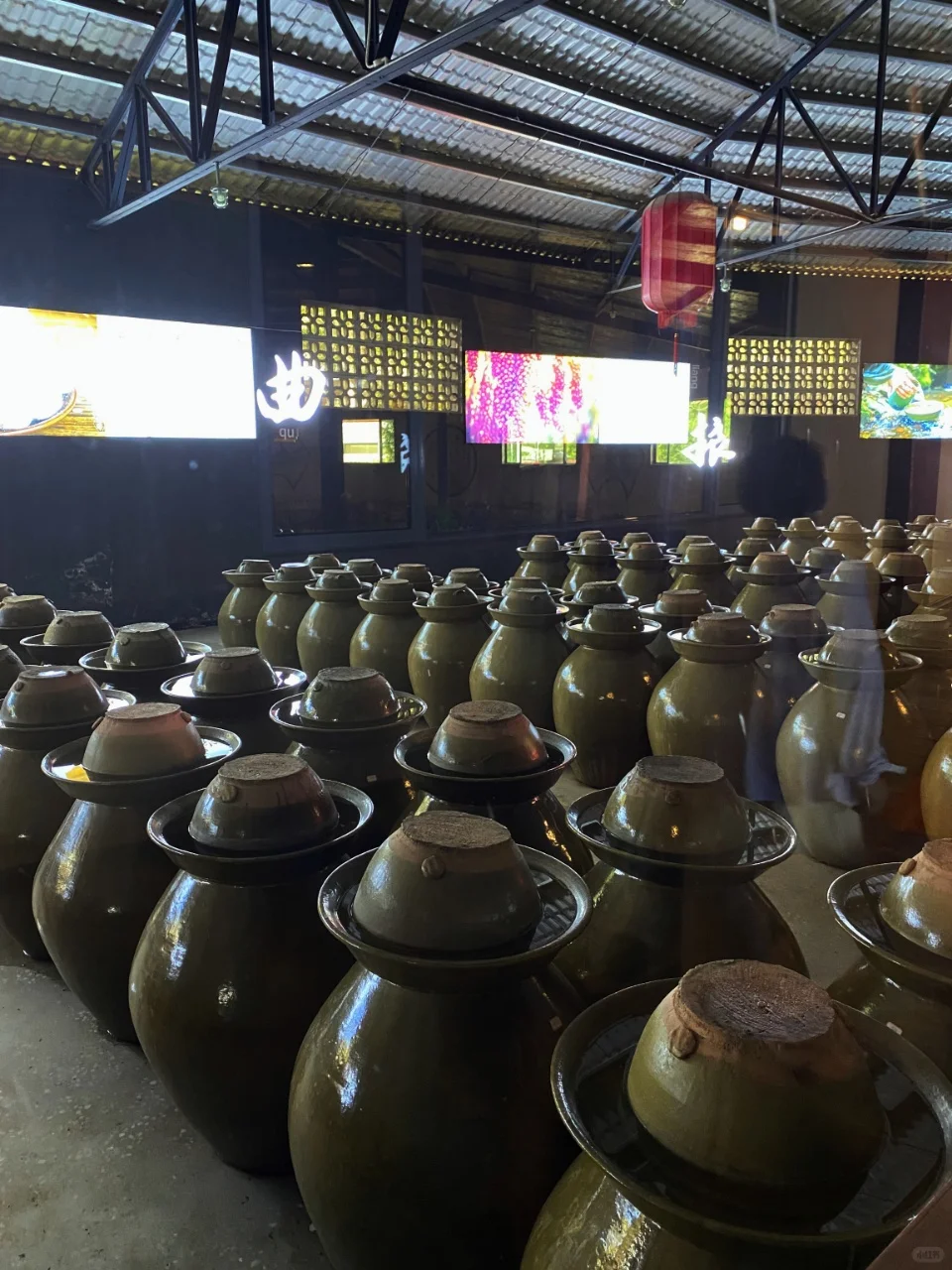 在昆明喝到了云南天花板级别的清香白酒!