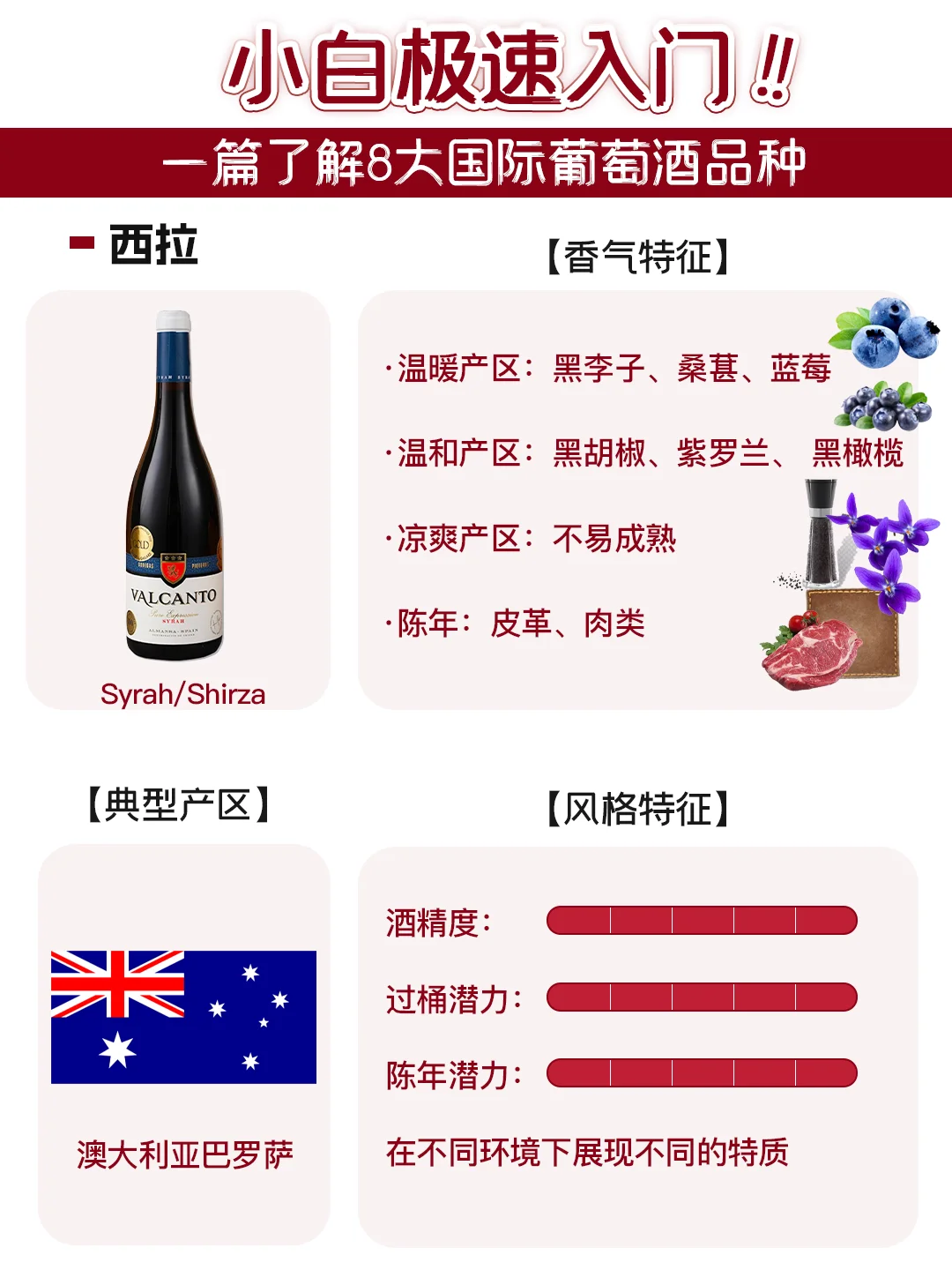 了解这8个葡萄品种，就搞懂90%的葡萄酒❗️