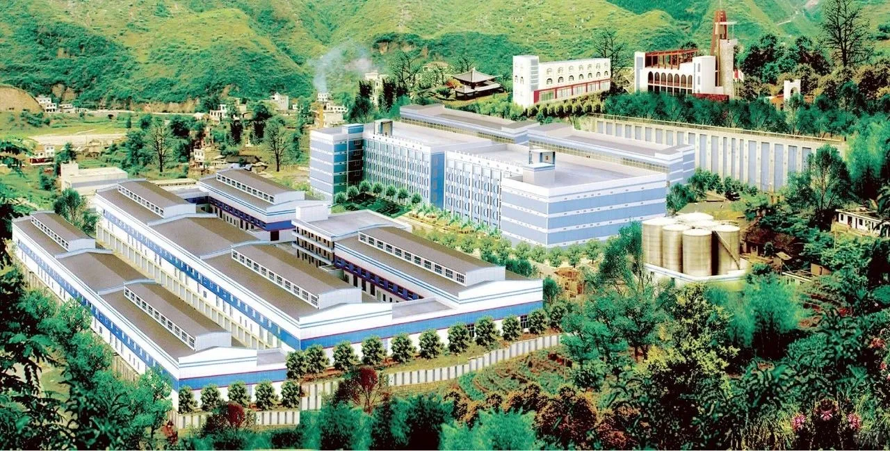 《2024中国白酒产业发展年度报告》发布