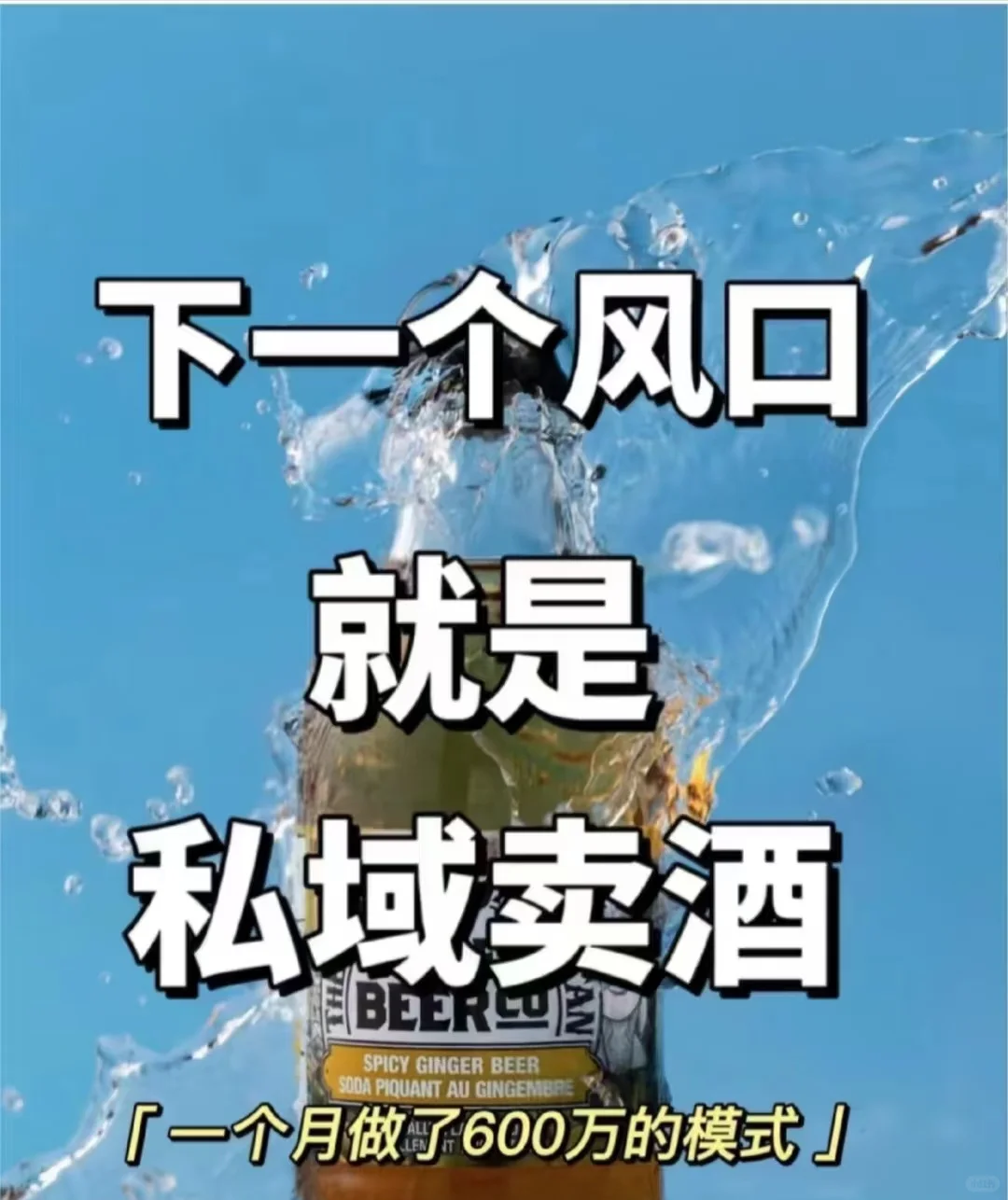 风口来了，小酒也能做百亿