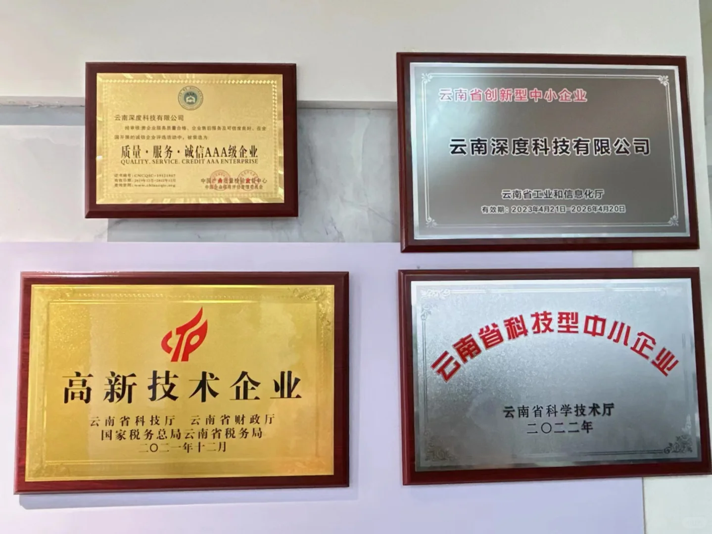 公司简介