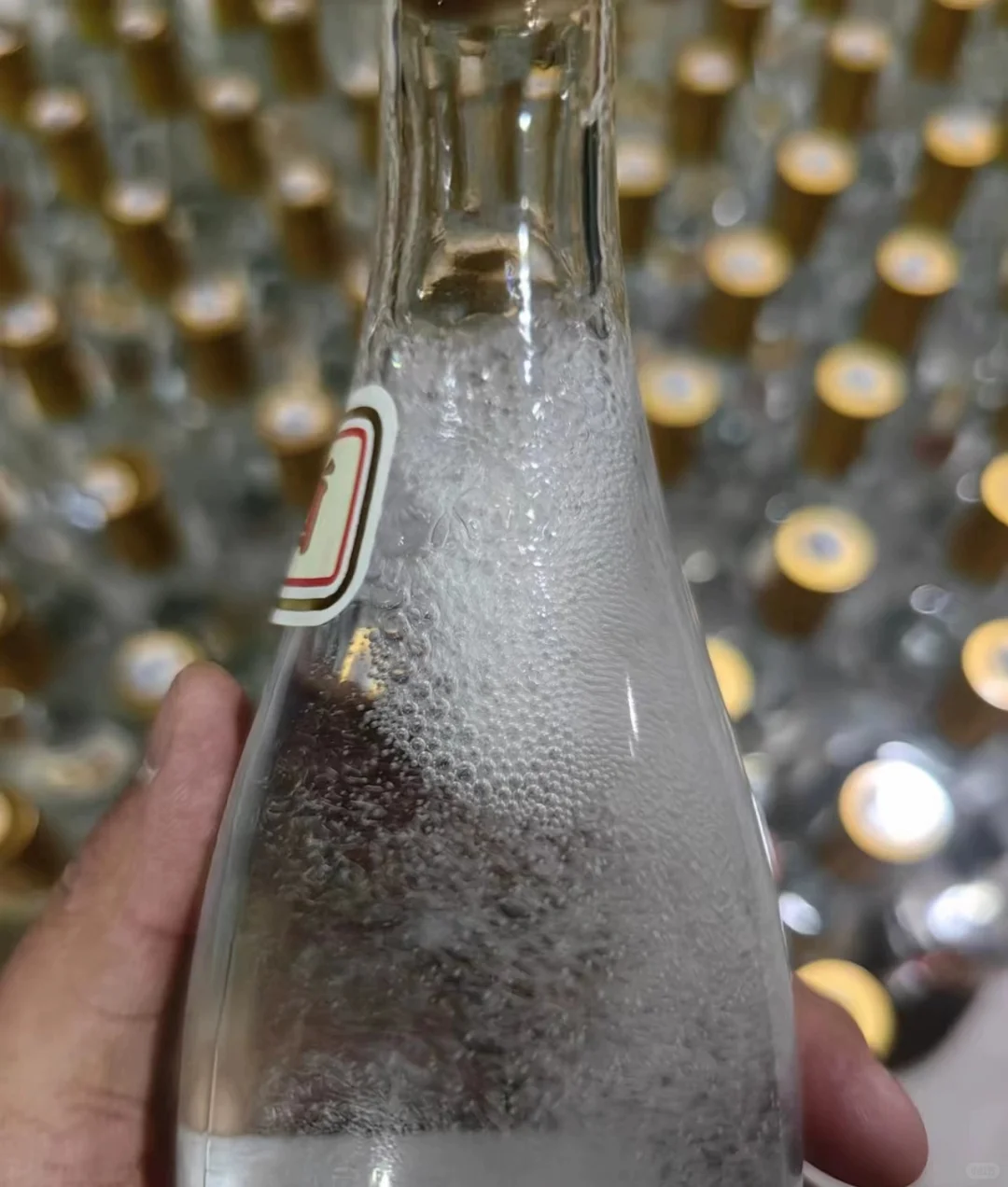 六瓶杏花村展会酒88