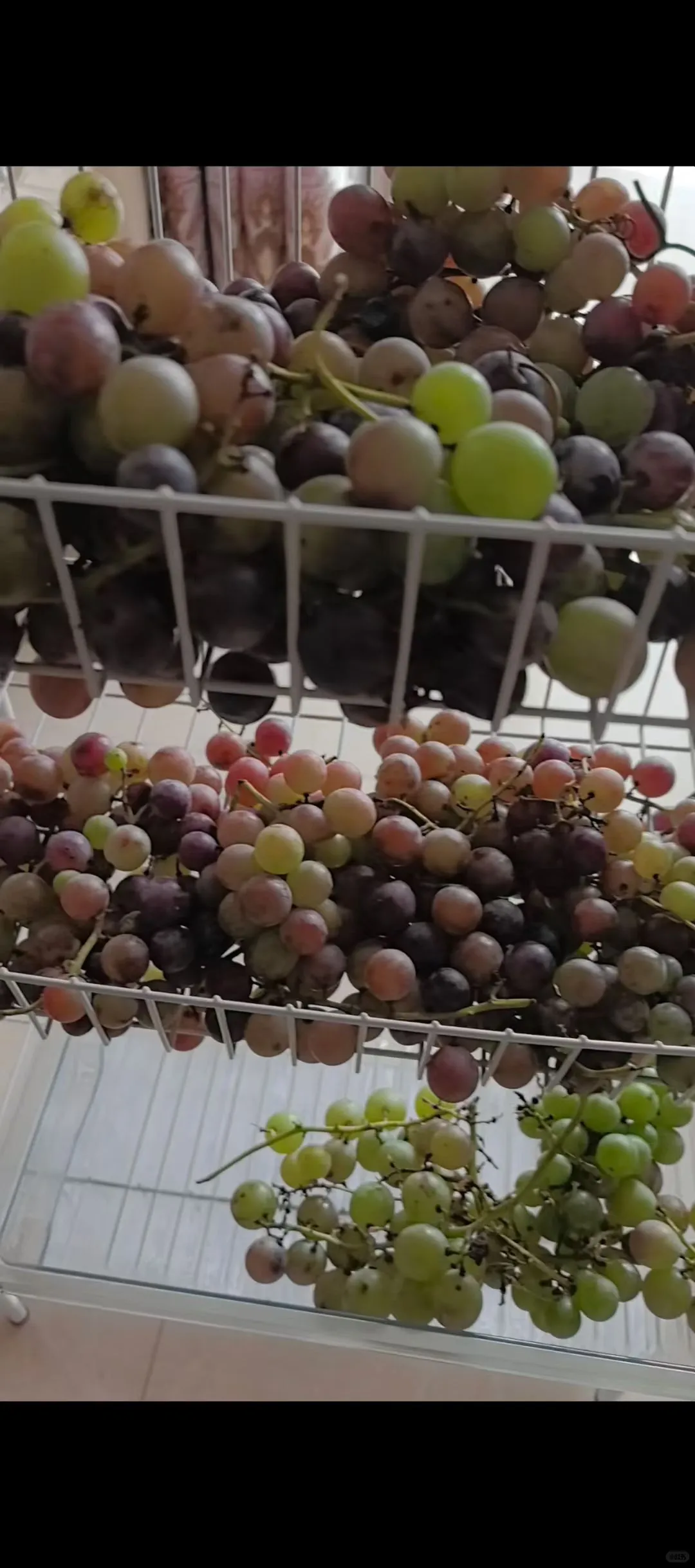 历时一个月的酿造葡萄酒全过程