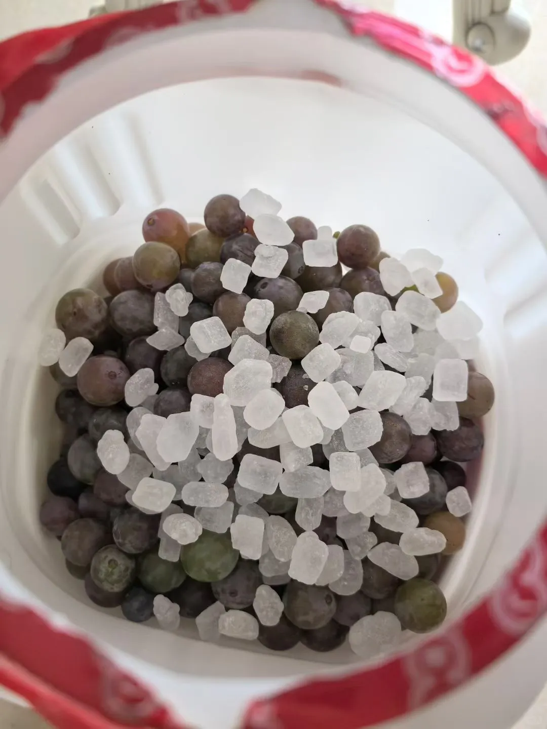 历时一个月的酿造葡萄酒全过程