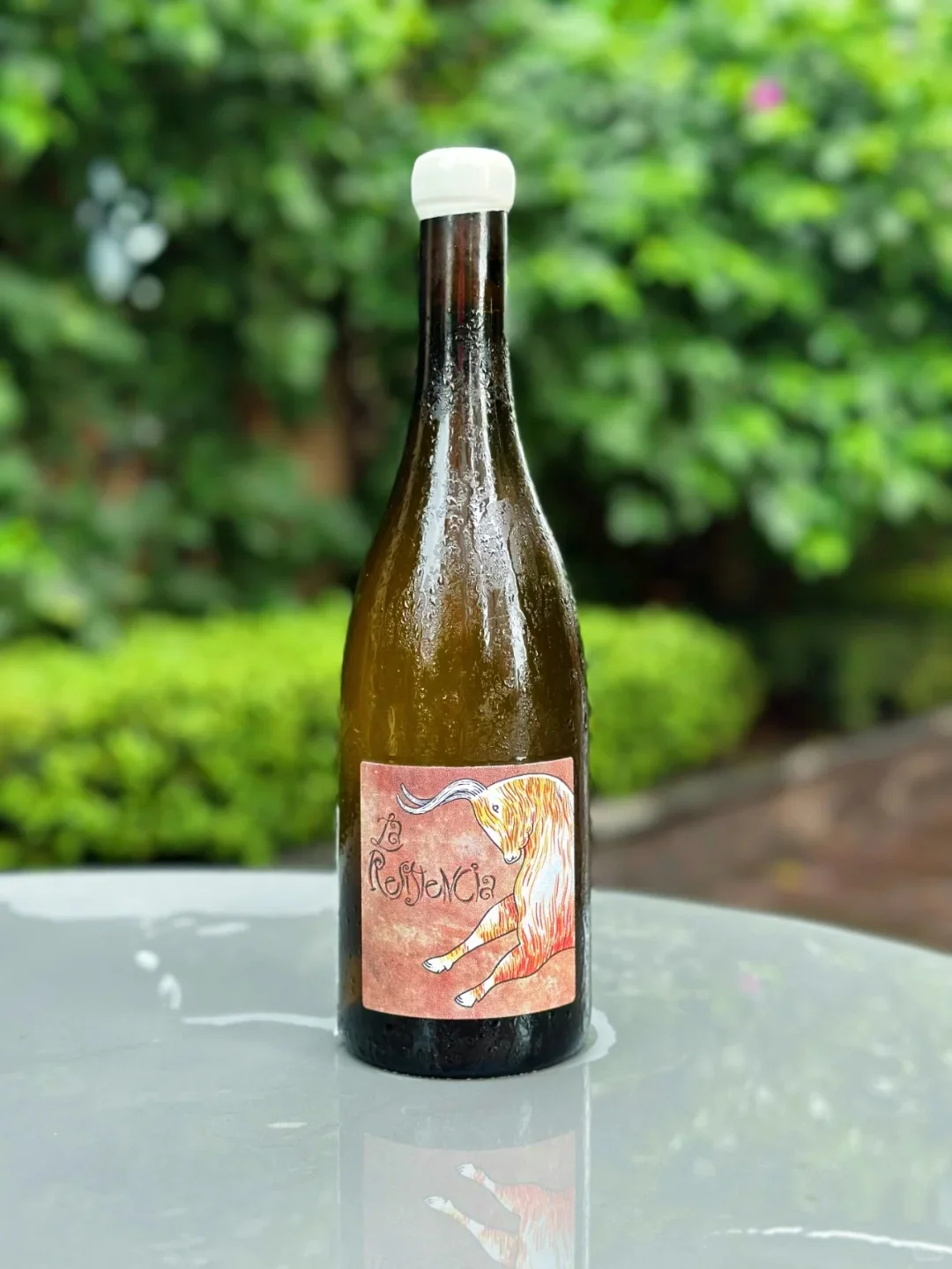 免费试饮！酒云网葡萄酒体验官招募中！