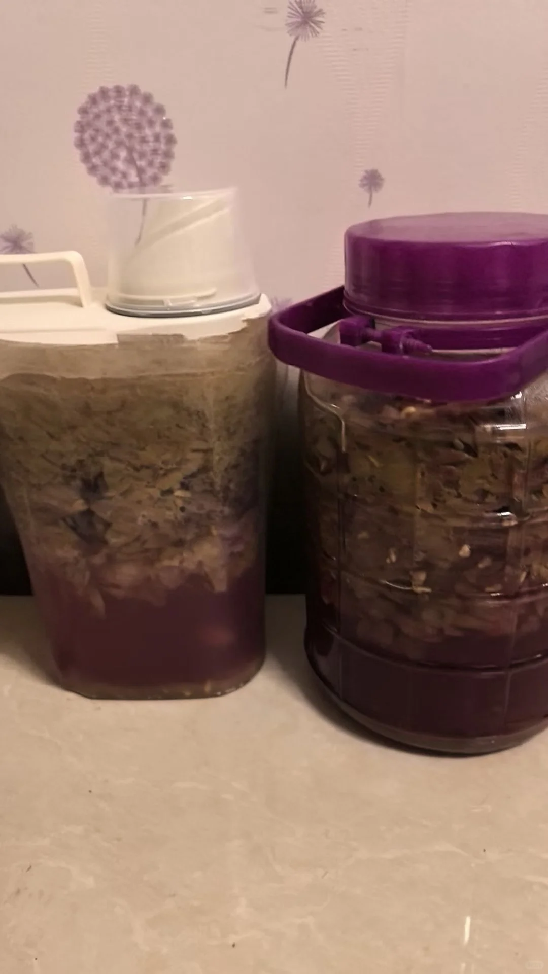 历时一个月的酿造葡萄酒全过程