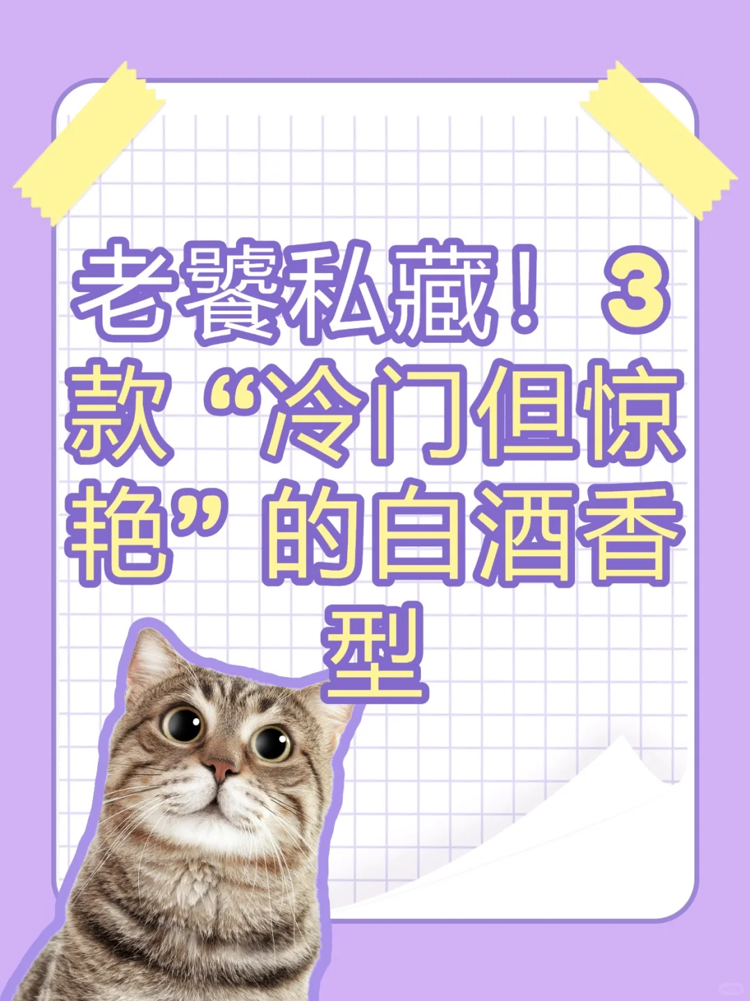 老饕私藏！3 款 “冷门但惊艳”的白酒香型