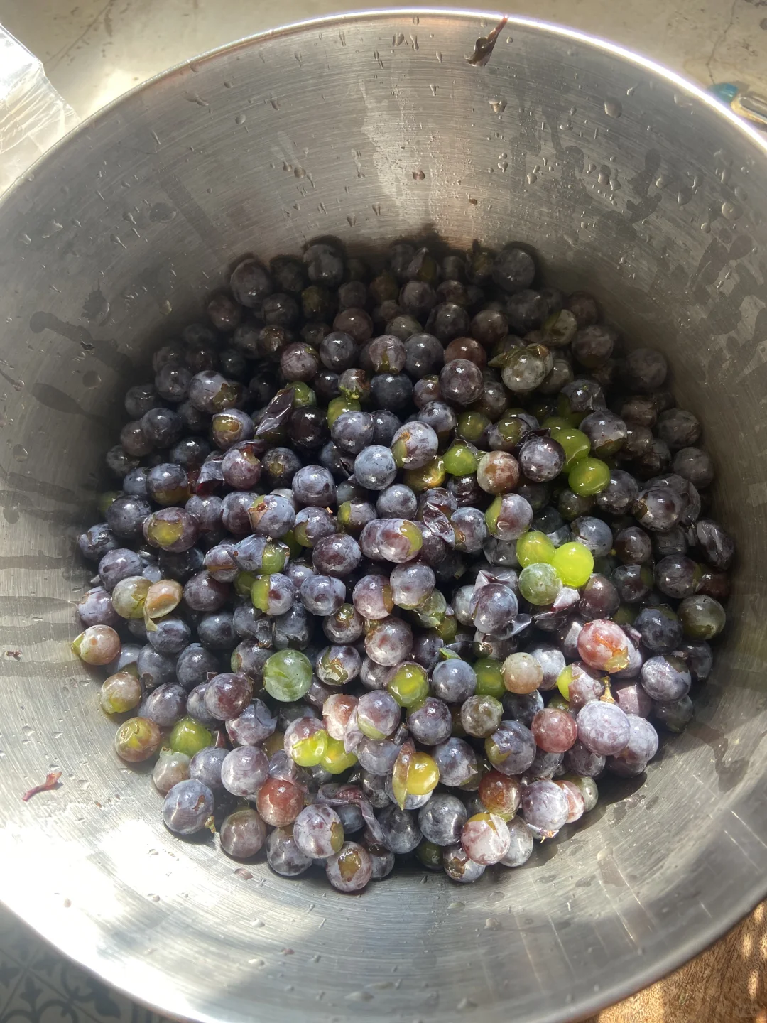 半亩菜园｜制作葡萄酒