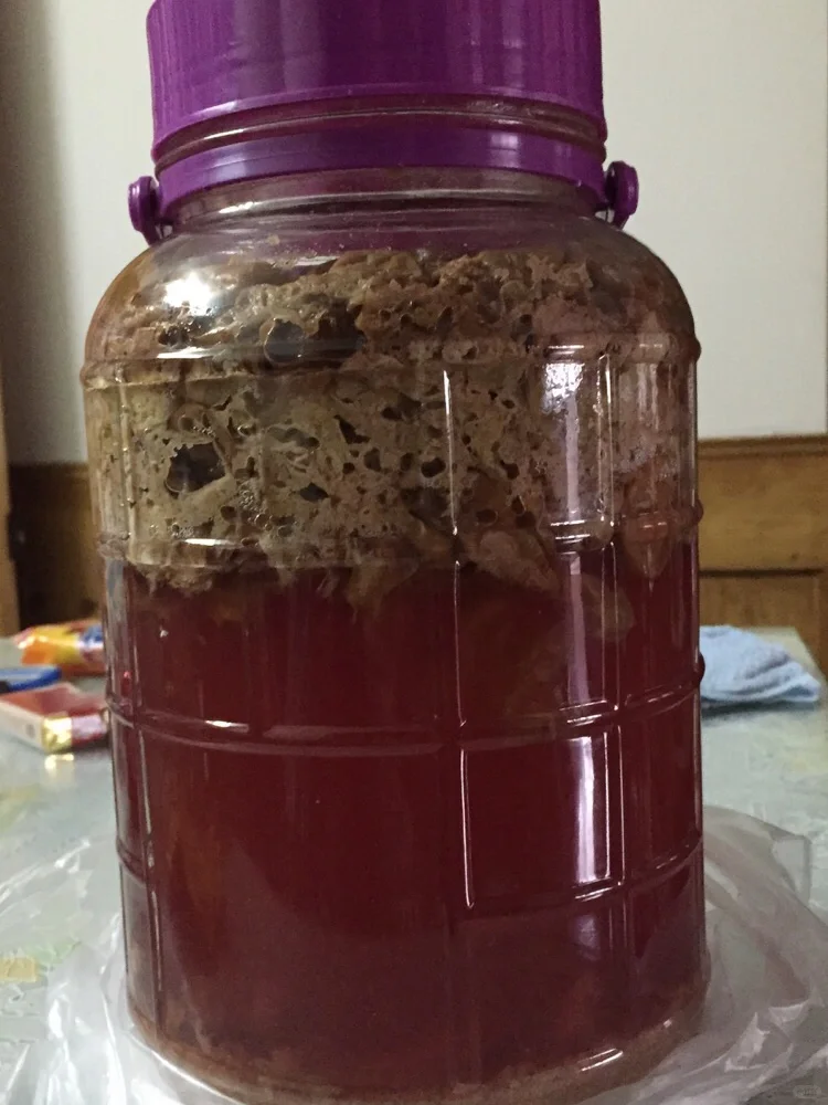 葡萄成熟期，自酿葡萄酒的危害‼️‼️