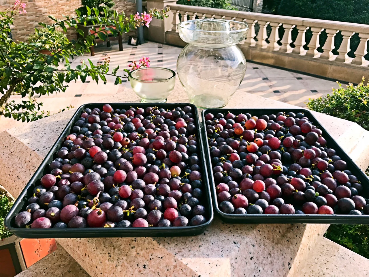 葡萄酒的家常做法，get新技能！