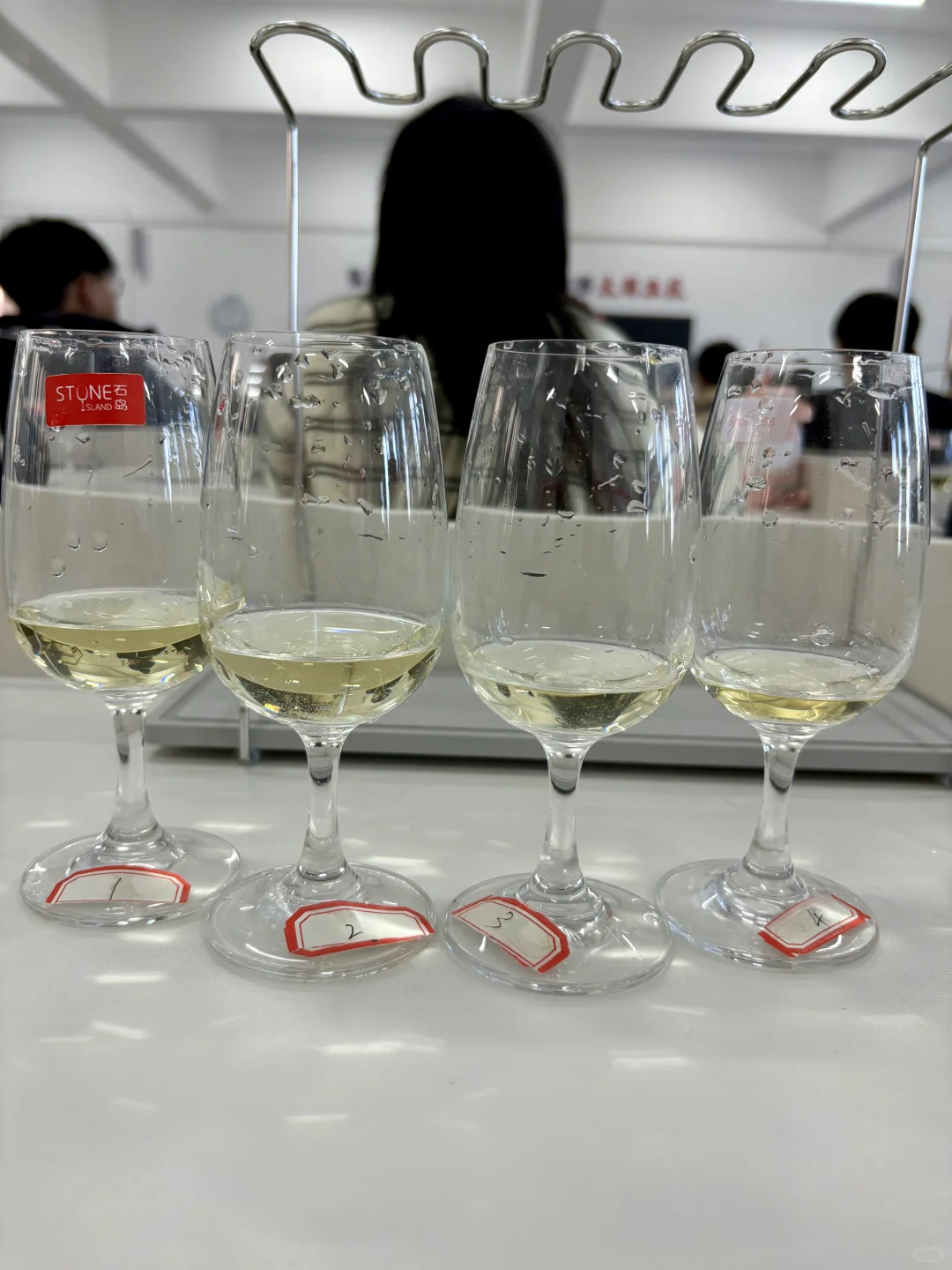 烟台科技学院葡萄酒品鉴