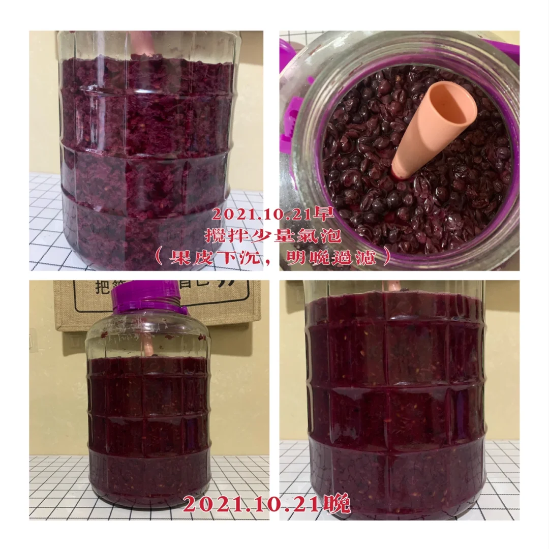 第二年挑战自制葡萄酒?