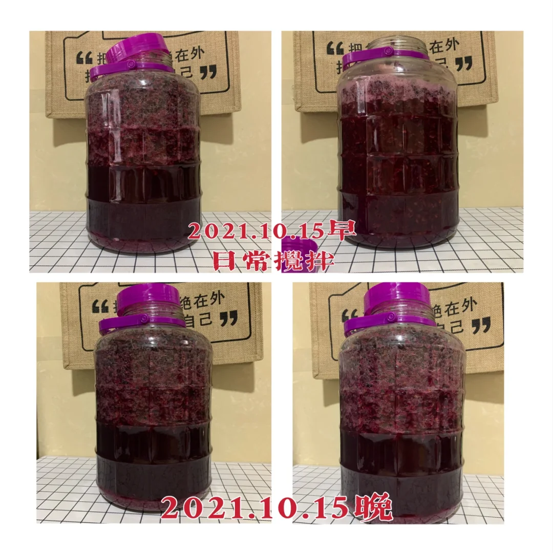 第二年挑战自制葡萄酒?