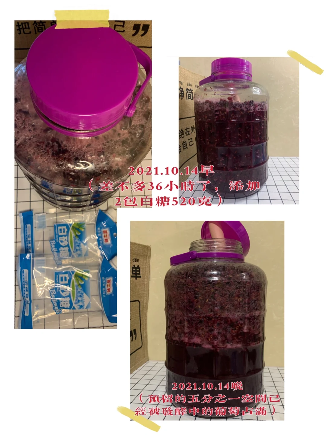 第二年挑战自制葡萄酒?