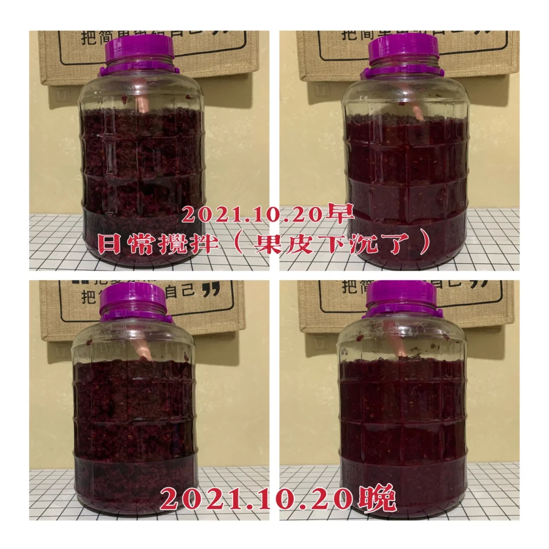 第二年挑战自制葡萄酒?