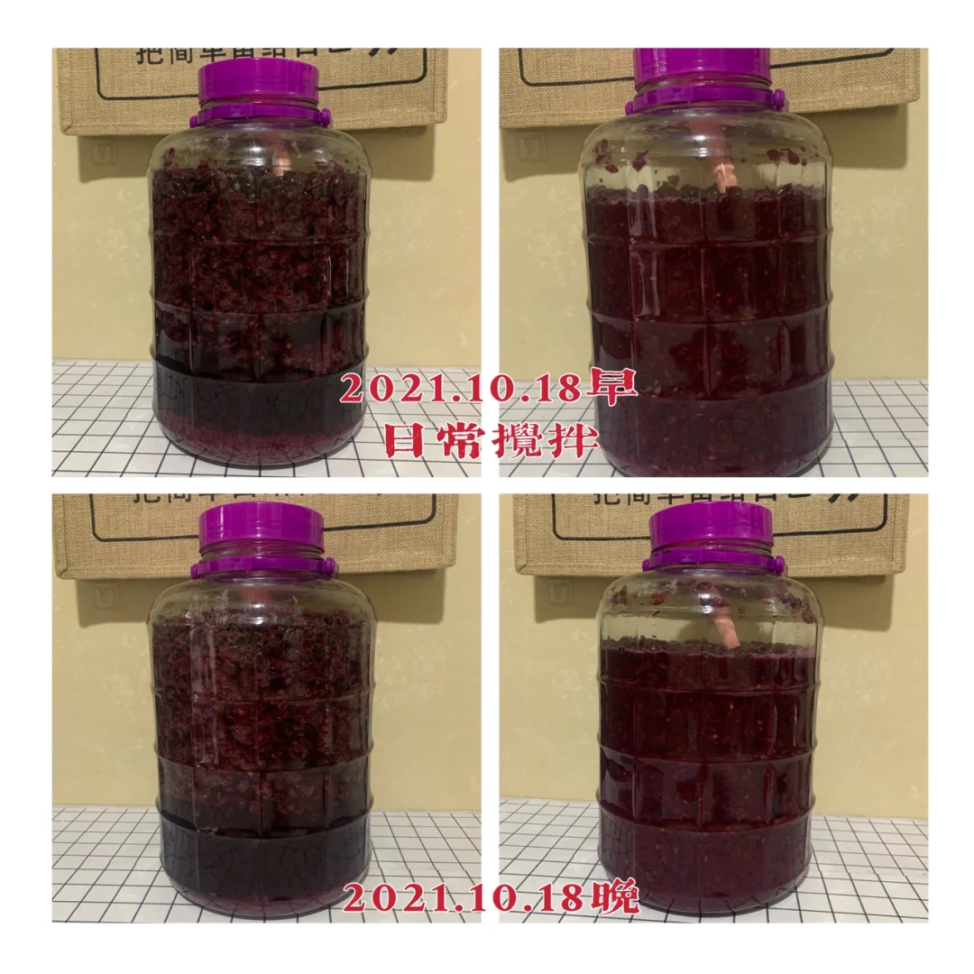 第二年挑战自制葡萄酒?