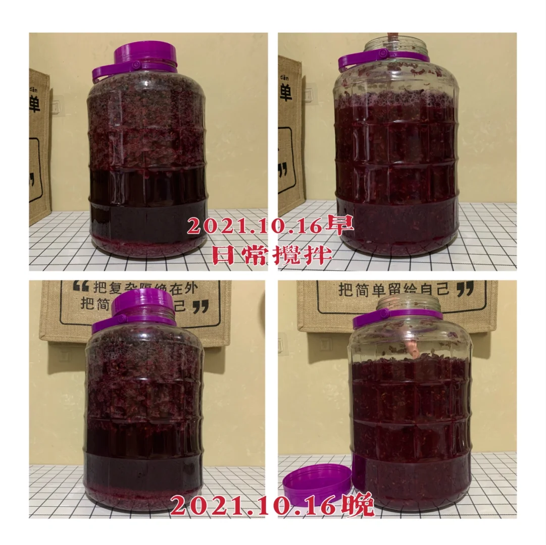 第二年挑战自制葡萄酒?