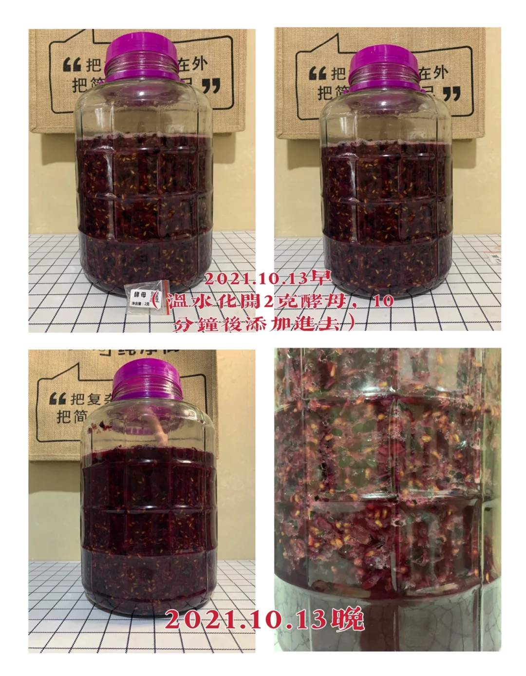 第二年挑战自制葡萄酒?