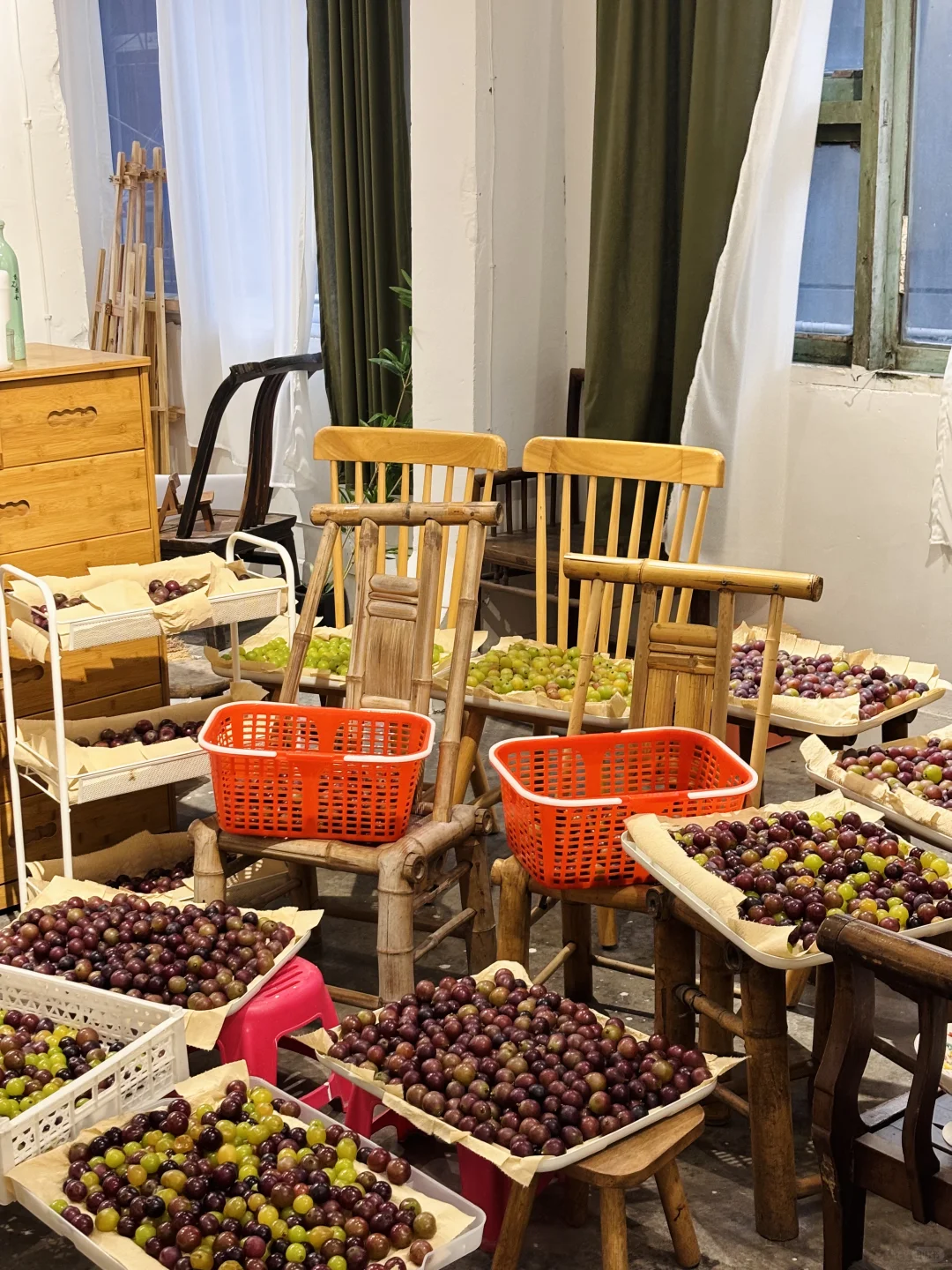 区区7️⃣0️⃣斤葡萄,拿捏!全部做成葡萄酒?