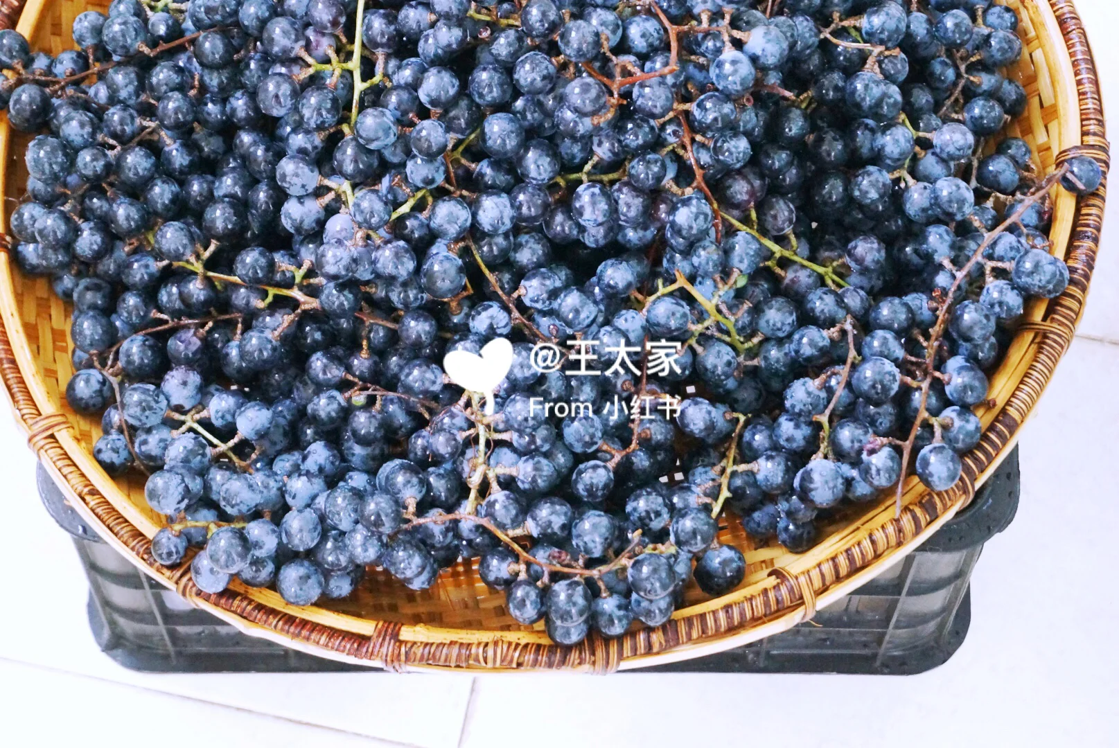 ?自制?葡萄酒记录